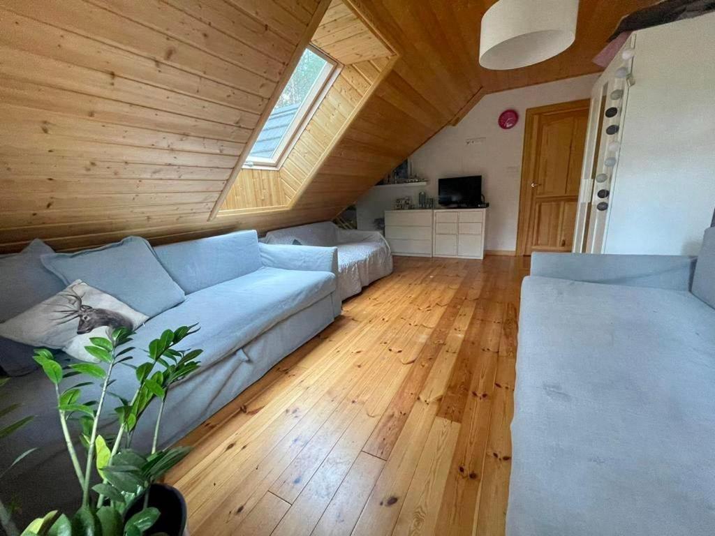 Caloroczne Domy Z Bala - Casa Del Czyzyk Serwy Екстер'єр фото