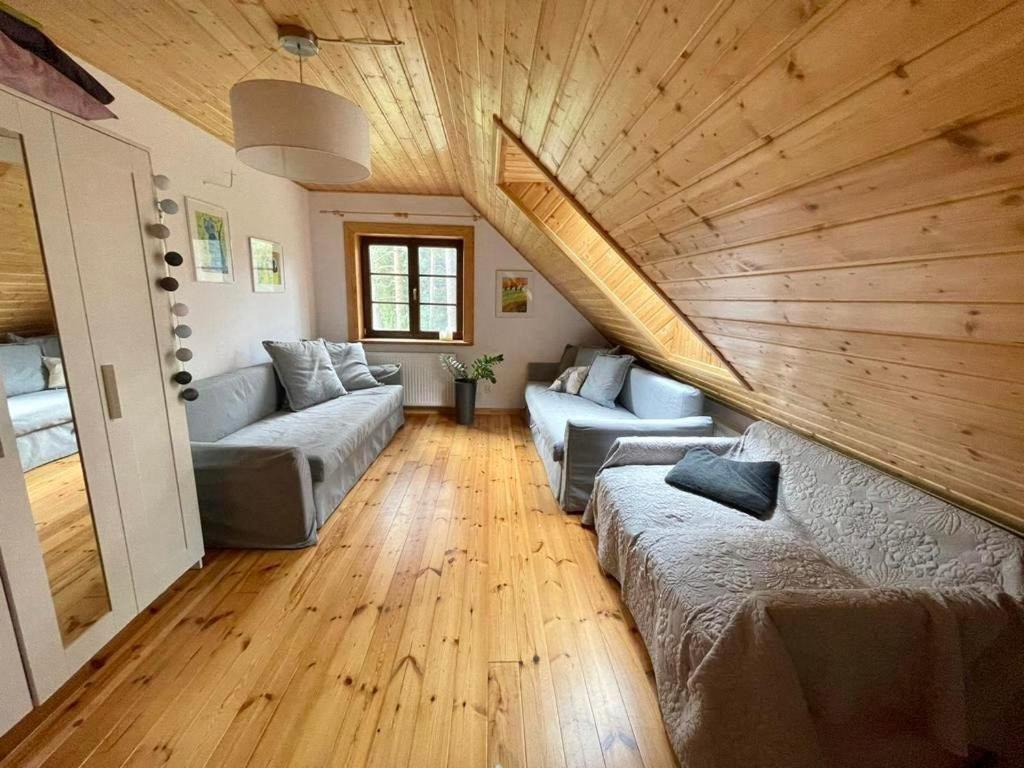 Caloroczne Domy Z Bala - Casa Del Czyzyk Serwy Екстер'єр фото