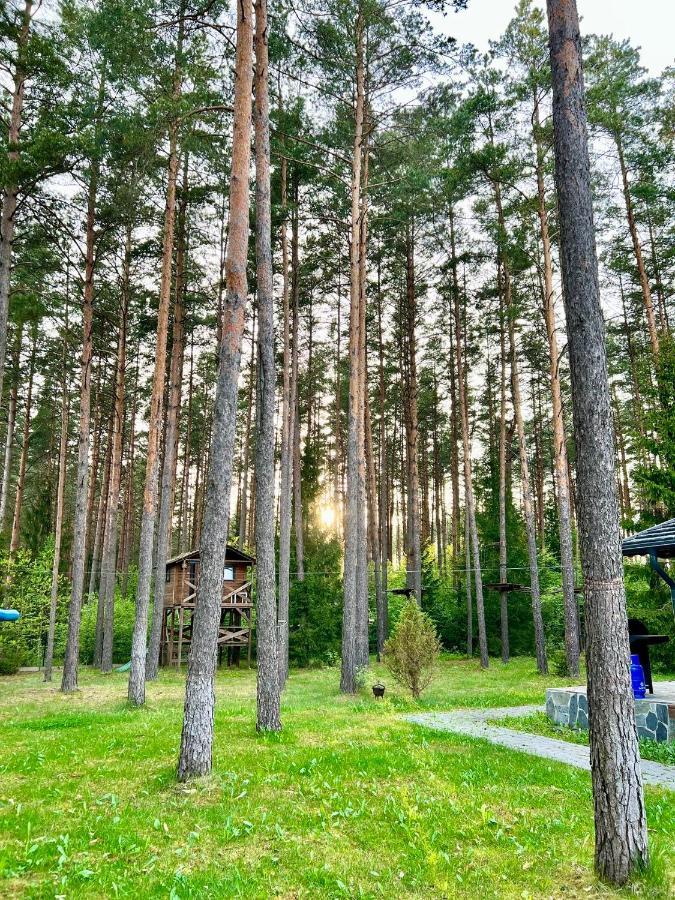 Caloroczne Domy Z Bala - Casa Del Czyzyk Serwy Екстер'єр фото